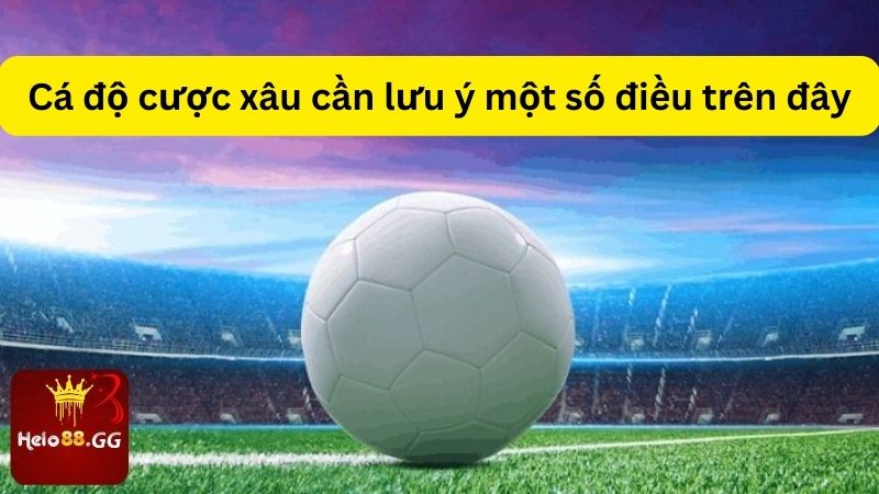 Kèo Xiên Hello88 - Chiến Lược Cá Cược Bao Thắng Lớn 7 Cá độ cược xâu cần lưu ý một số điều trên đây