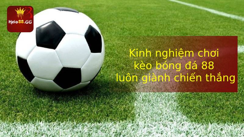 Kèo Bóng Đá 88 Là Gì? Mẹo Chơi Kèo Bóng Đá Hiệu Quả 6 Các loại kèo bóng đá 88 phổ biến nhất hiện nay