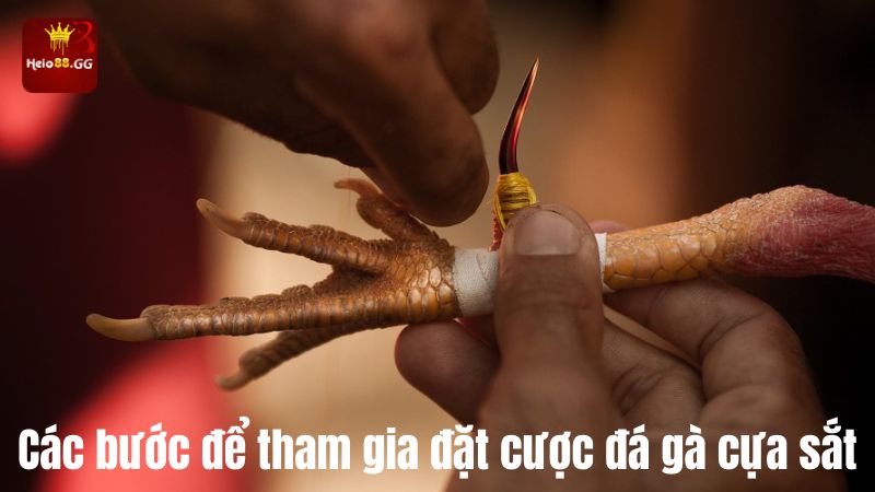 Đá Gà Cựa Sắt - Trải Nghiệm Cá Cược Đá Gà Hấp Dẫn Ở Hello88 6 Các bước để tham gia đặt cược đá gà cựa sắt
