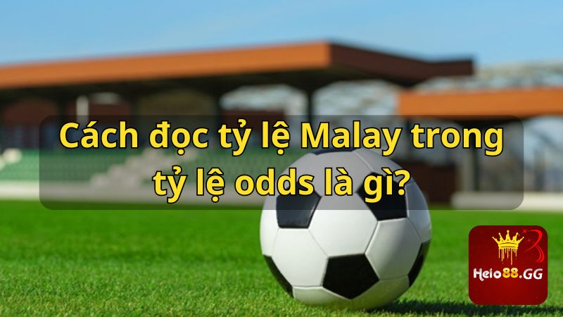 Odds Là Gì? Tất Tần Tật Các Tỷ Lệ Odds Trong Cá Cược 7 Cách đọc tỷ lệ Malay trong tỷ lệ odds là gì?