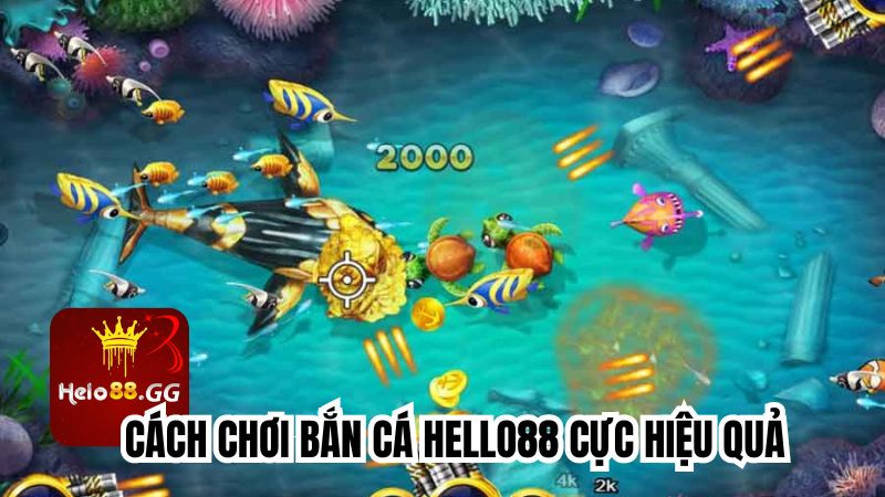 Cách Chơi Bắn Cá - Hướng Dẫn Chi Tiết Cho Tân Thủ 7 Một số cách chơi bắn cá hay nên áp dụng