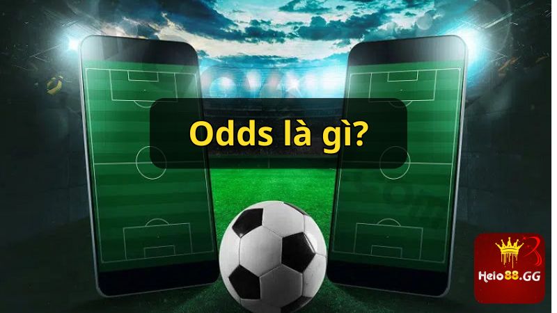 Odds Là Gì? Tất Tần Tật Các Tỷ Lệ Odds Trong Cá Cược 5 Odds là gì?